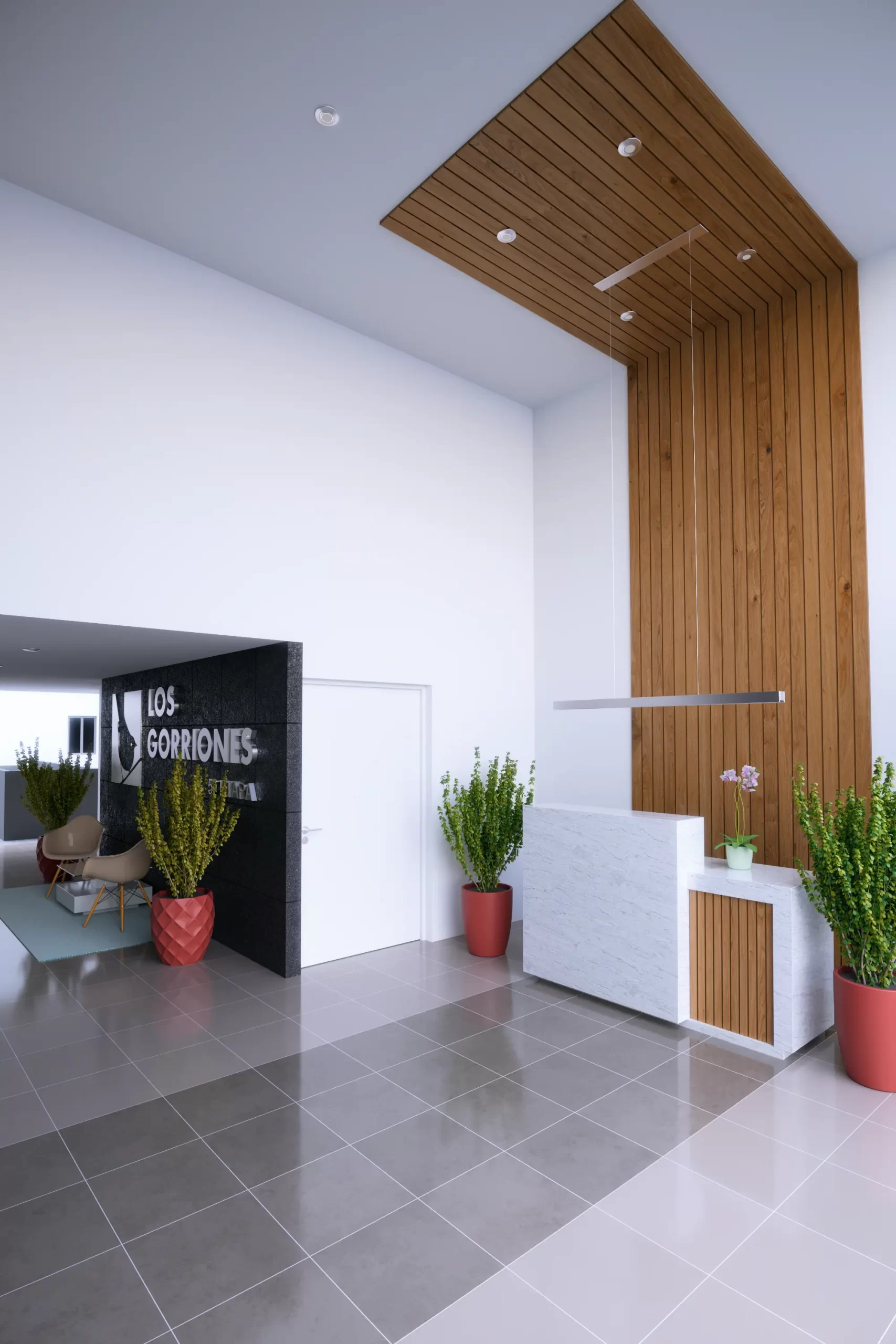 GORRIONES 5 - imagen 6